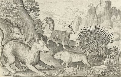 Wild Boar, Foxes, Beavers, Porcupine and Frogs. 1621 by Nicolaes de Bruyn
