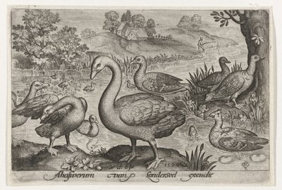 Swan and Geese and Ducks by Water (Birds and Insects) by Nicolaes de Bruyn
