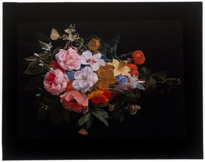 A Festoon of Roses, Honeysuckle, Lilies, Narcissi, Marigold, a Snake’s Head Fritillary by Nicolaes van Veerendael