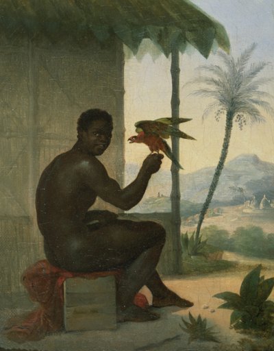 Brazilian black with Tropical Bird by Nicolas Antoine Taunay