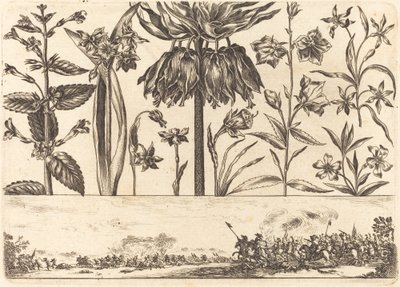 Flower Print no.10 by Nicolas Cochin after Balthasar Moncornet