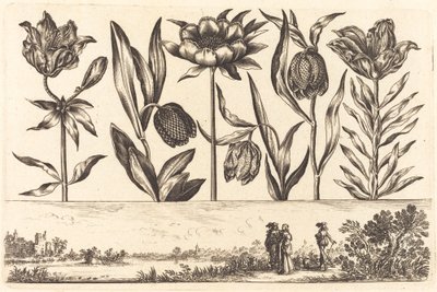Flower Print No.11 by Nicolas Cochin after Balthasar Moncornet
