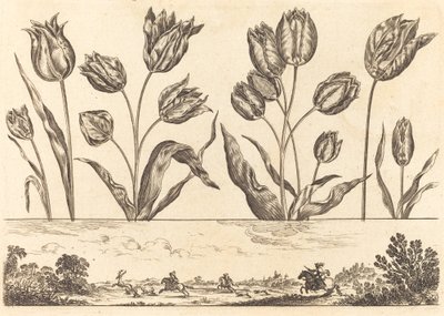 Flower Print No.12 by Nicolas Cochin after Balthasar Moncornet