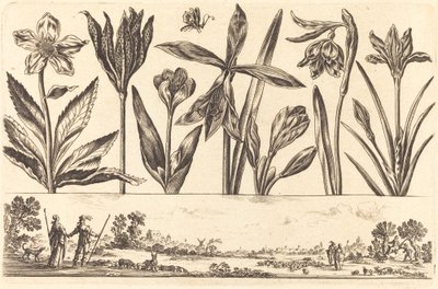 Flower Print No.4 by Nicolas Cochin after Balthasar Moncornet