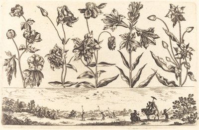 Flower Print No.6 by Nicolas Cochin after Balthasar Moncornet