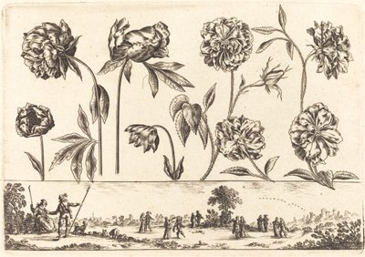 Flower Print No.7 by Nicolas Cochin after Balthasar Moncornet