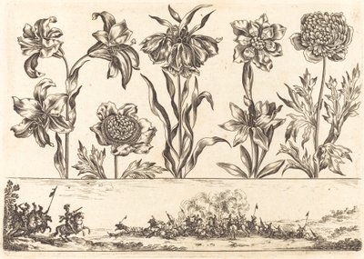 Flower Print No.8 by Nicolas Cochin after Balthasar Moncornet