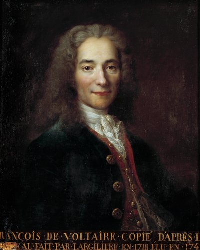 Portrait of Francois Marie Arouet dit Voltaire by Nicolas de Largillière