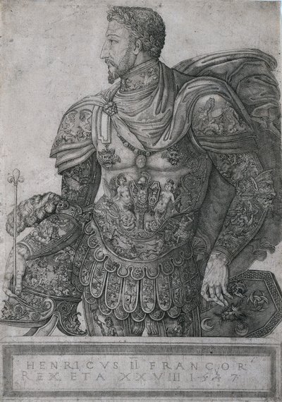 Henri II, King of France, at the Age of 28 by Nicolo della Casa
