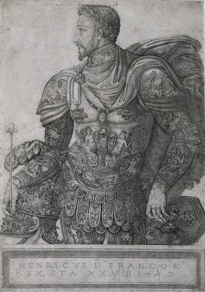 Henri II, King of France, at the age of 28 by Nicolo della Casa