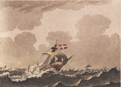 A Damaged Ship, Signaling Loots by Niels Truslew
