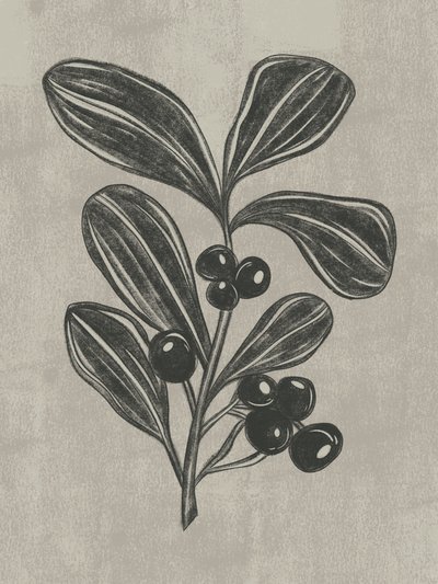 Botanical Berry Sketch by Nikita Jariwala