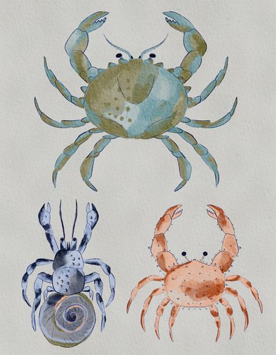 Ocean Crabs by Nikita Jariwala