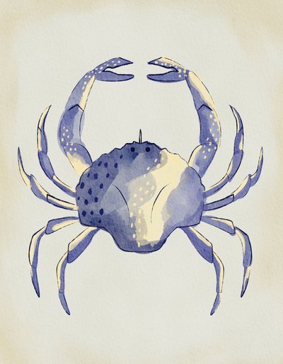 Watercolor Blue Crab by Nikita Jariwala
