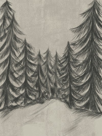 Winter Forest Sketch by Nikita Jariwala