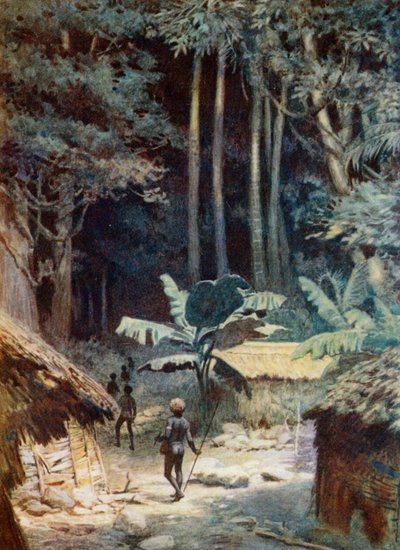 In the Depths of a Melanesian Forest by Norman Hardy