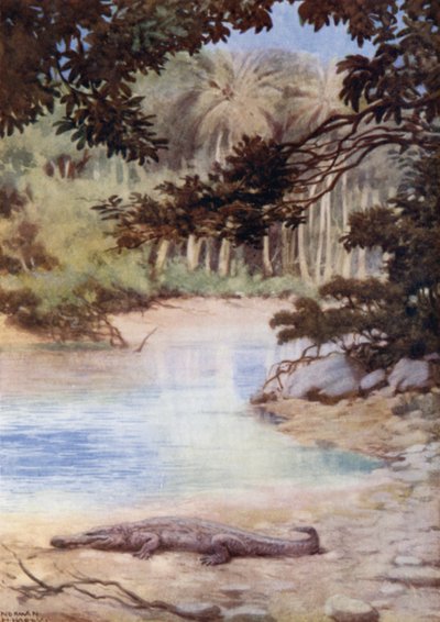 The Home of the Crocodile, British Solomon Islands by Norman Hardy