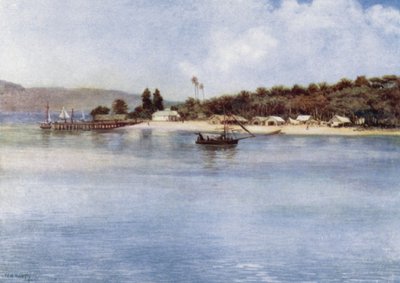 The Island of Samari, British New Guinea by Norman Hardy
