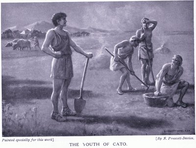 The youth of Cato by Norman Prescott Davies