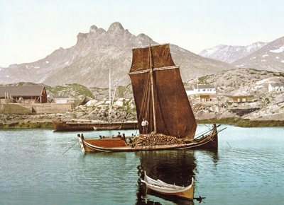 Nordland boat carrying a cargo of logs, Norway by Norwegian Photographer
