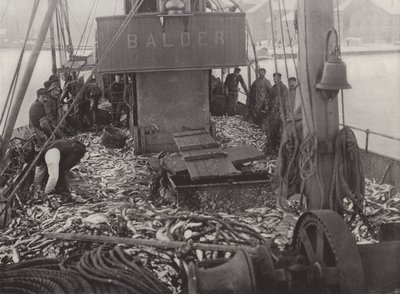 Winter Herring Fishery by Norwegian Photographer