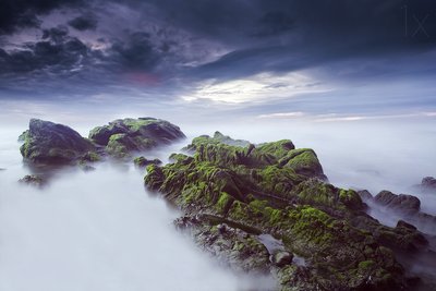 Ethereal Mossy Seascape by Nuno Araujo