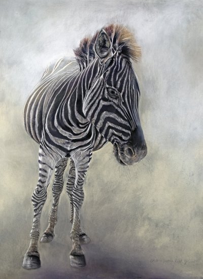 Equus burchelli 1 by Odile Kidd