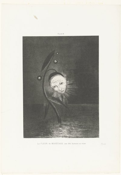 The Marsh Flower, a Human and Sad Head by Odilon Redon