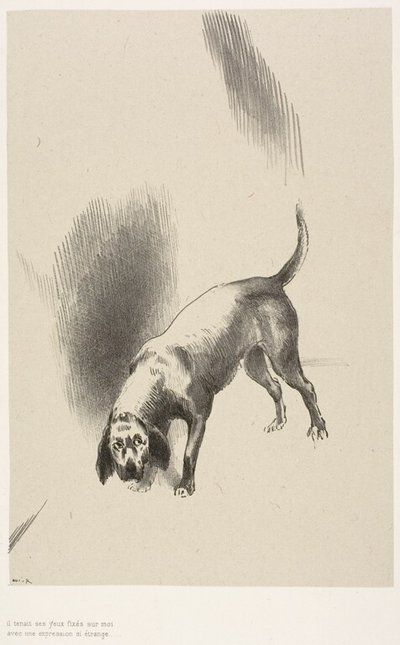 He Kept His Eyes Fixed on Me With a Look So Strange, Plate 3 of 6 by Odilon Redon