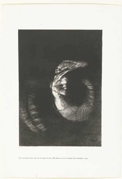 It is a Skull with a Wreath of Roses by Odilon Redon