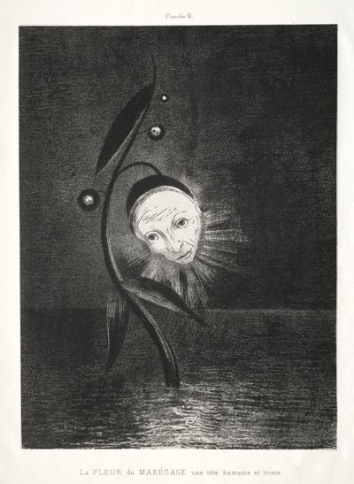 Homage to Goya: The Marsh Flower, a Sad Human Head by Odilon Redon