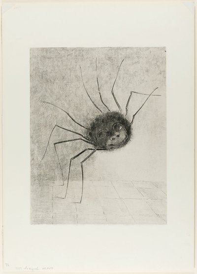 Spider by Odilon Redon