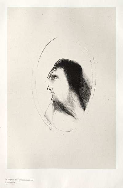 The Haunted House: The Width and Flatness of the Frontal Bone by Odilon Redon