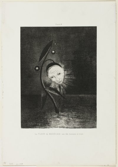 The Marsh Flower, a Sad Human Head, plate 2 of 6 by Odilon Redon