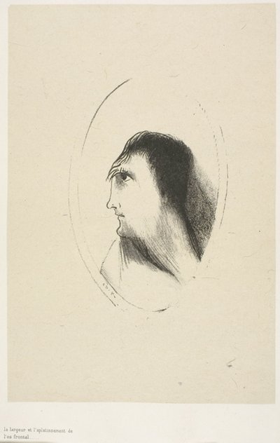 The Width and Flatness of the Frontal Bone, plate 6 of 6 by Odilon Redon