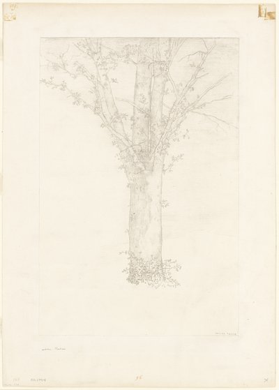 Tree by Odilon Redon