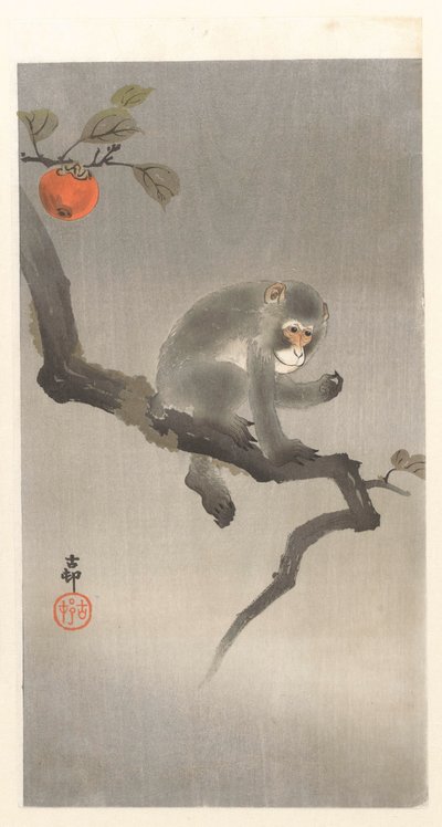 Monkey in a Persimmon Tree by Ohara Koson