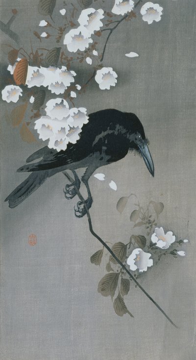 Crow in a Cherry Blossom branch by Ohara Koson