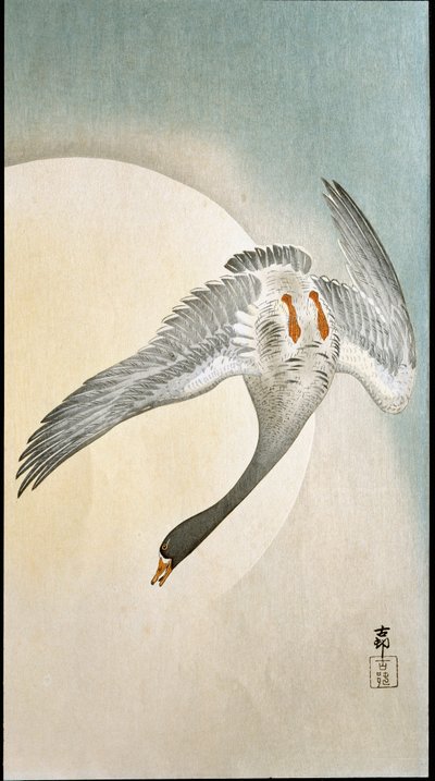 Flight of duck in moonlight by Ohara Koson