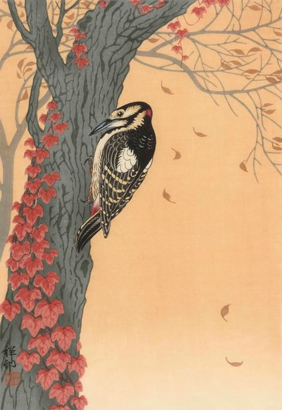 Great Spotted Woodpecker in Tree with Red Ivy, 20th century (japanese print) by Ohara Koson
