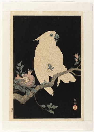 Cockatoo with Pomegranate by Ohara Koson