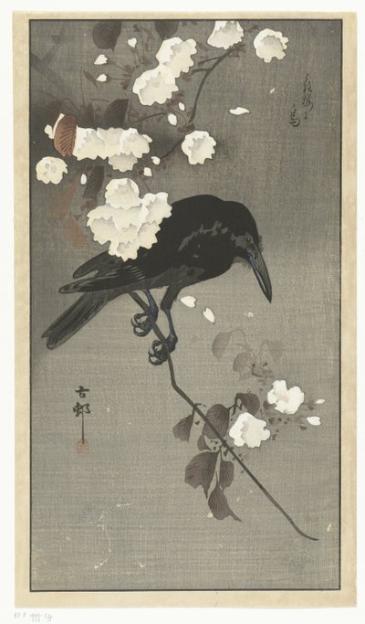 Crow with Cherry Blossom (Hana sakura no tori) by Ohara Koson