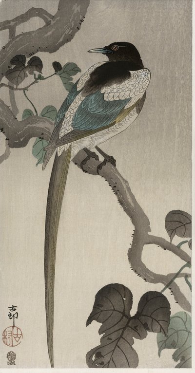 Magpie on a Pauwolna branch by Ohara Koson