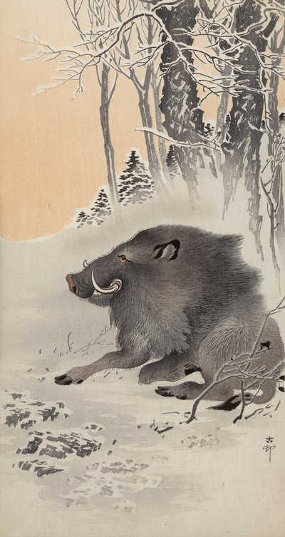 Reclining boar in a snow-covered landscape by Ohara Koson