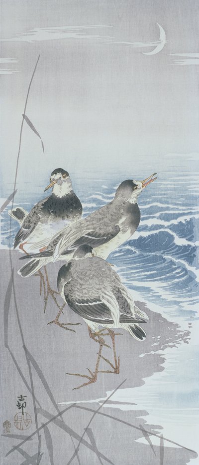 Three Sandpipers at the Waterside in Front of Reeds by Ohara Koson