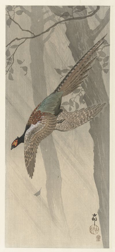 Flying Pheasant by Ohara Koson