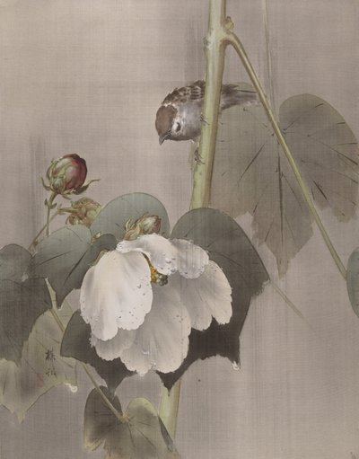 Cotton Rose Mallows in the Rain by Okada Baison