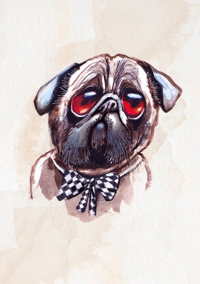 Melancholy Pug by Olga Skomorokhova