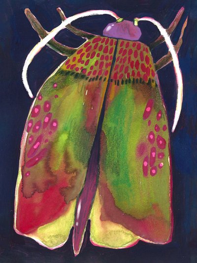 Moth by Olga Skomorokhova