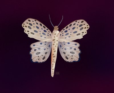 Spotted Butterfly Glow by Olga Skomorokhova